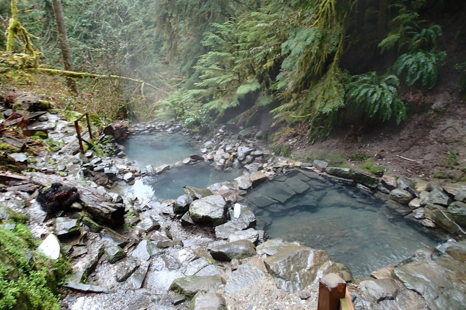 Terwilliger (Cougar) Hot Springs
